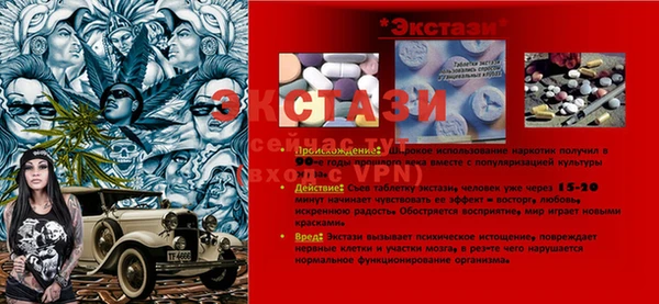 дмт Козельск