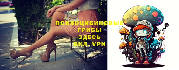 a pvp Киренск